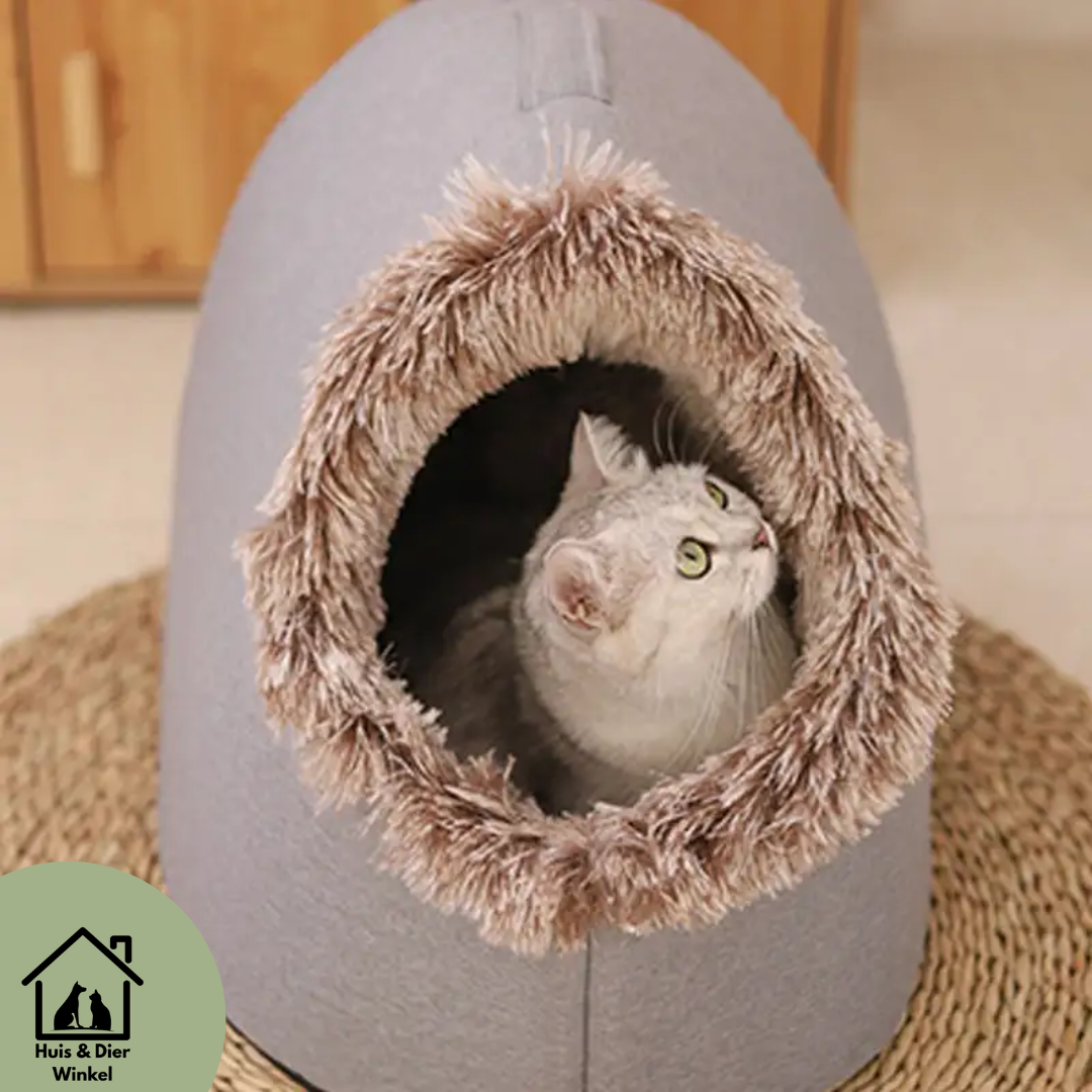 Huis & Dier Winkel - Winternest