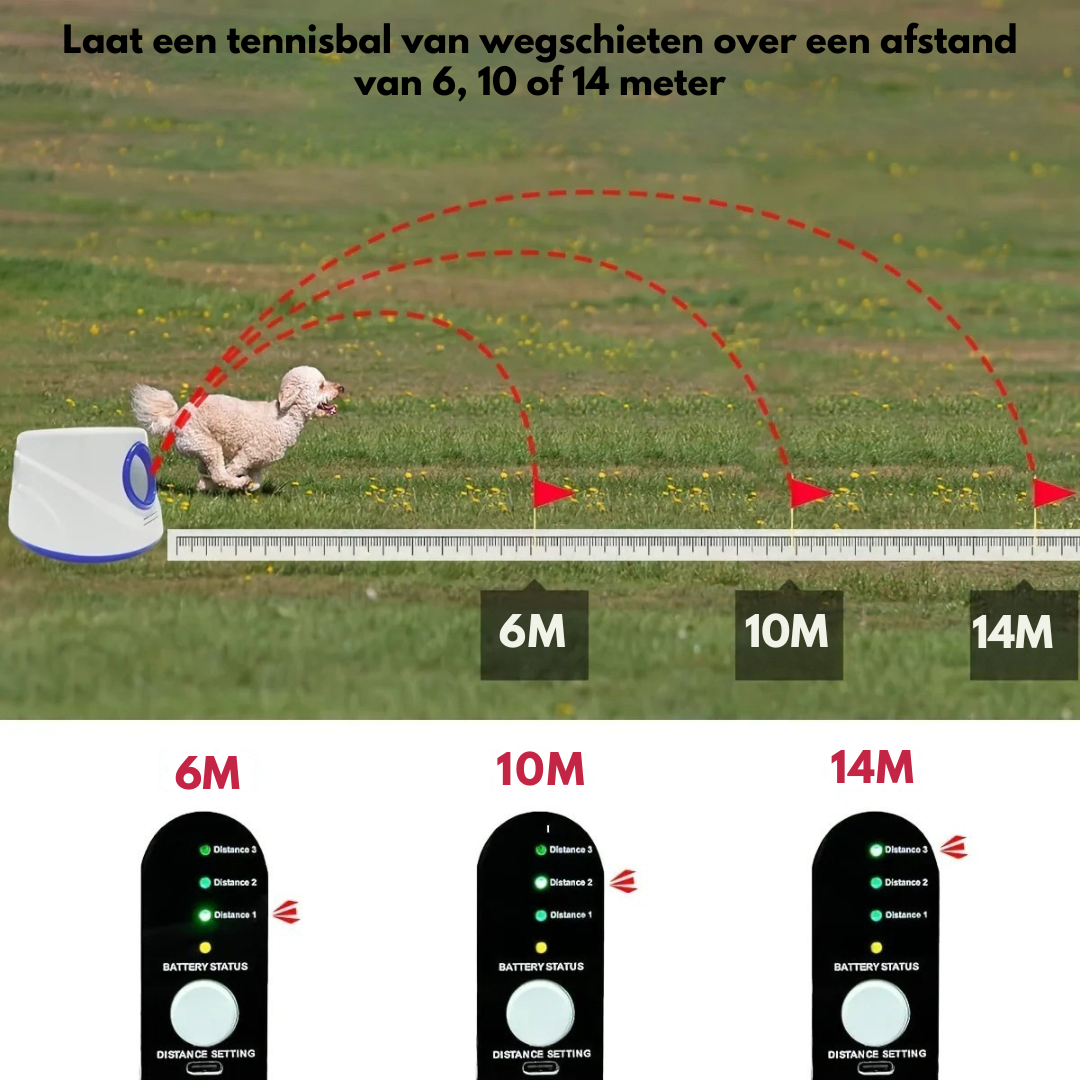 Huis & Dier Winkel - Automatische Ballengooier voor Honden