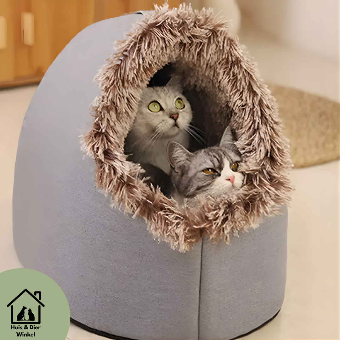 Huis & Dier Winkel - Winternest