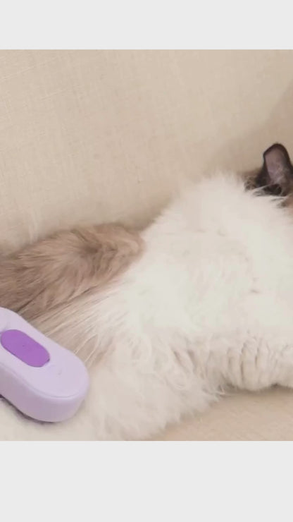 Huis & Dier Winkel - Luxe Dierenborstel met Stoom & Spraytechnologie